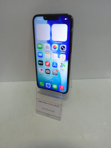 photo_2026-03-31_14-35-54